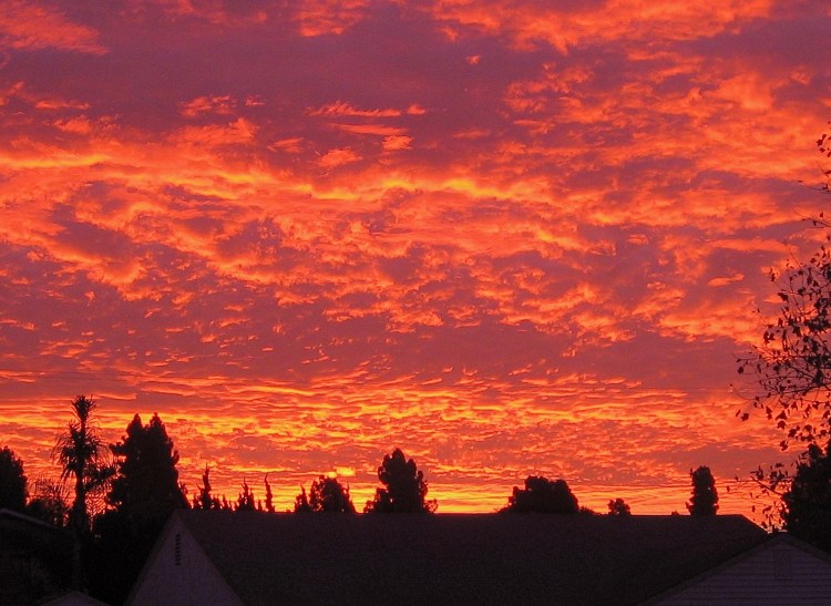 NOVEMBER'S SUNRISE IN CALIFORNIA